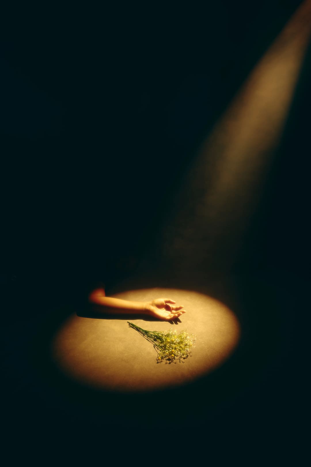 Hands That Remember — 01