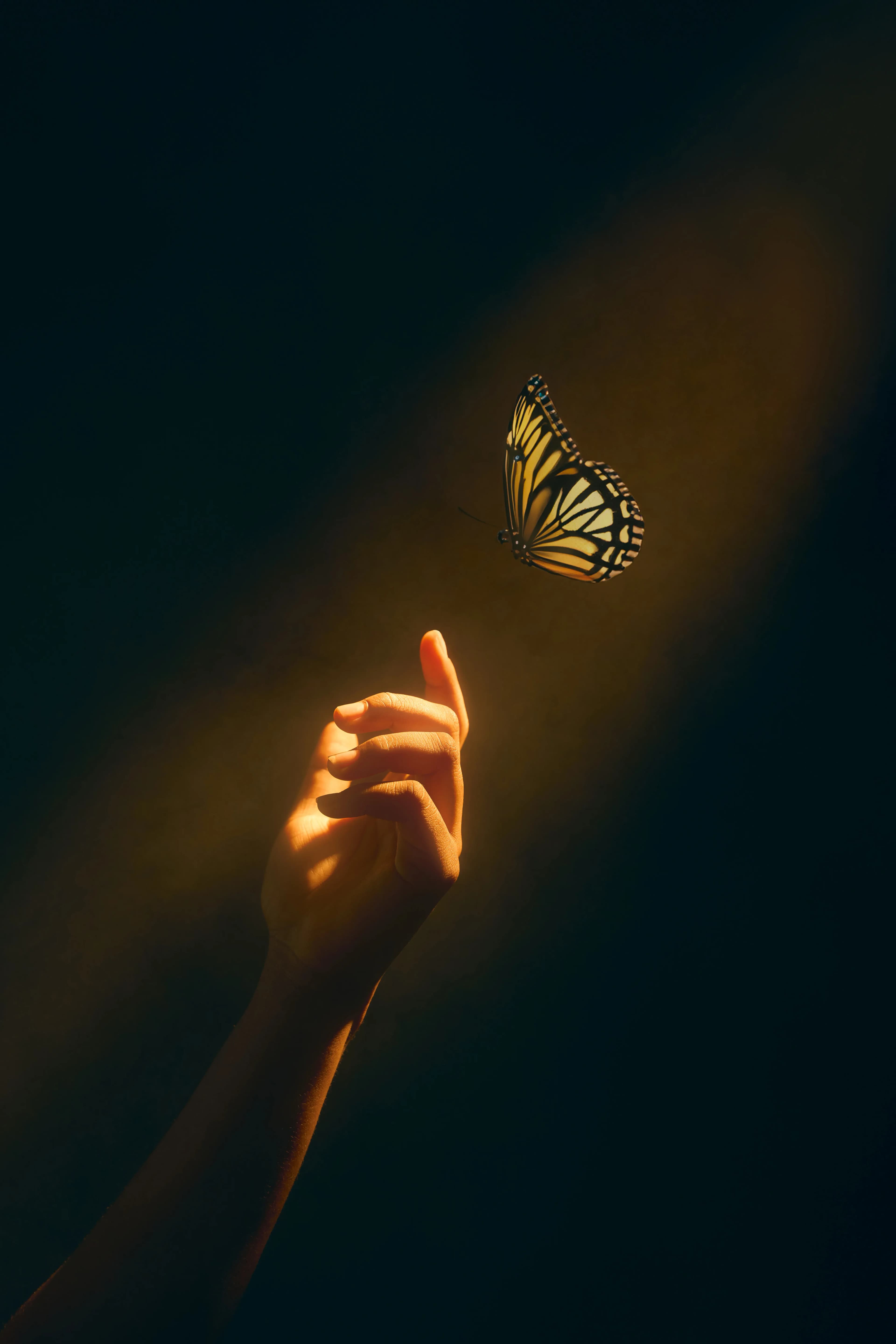 HANDS THAT REMEMBER — 2