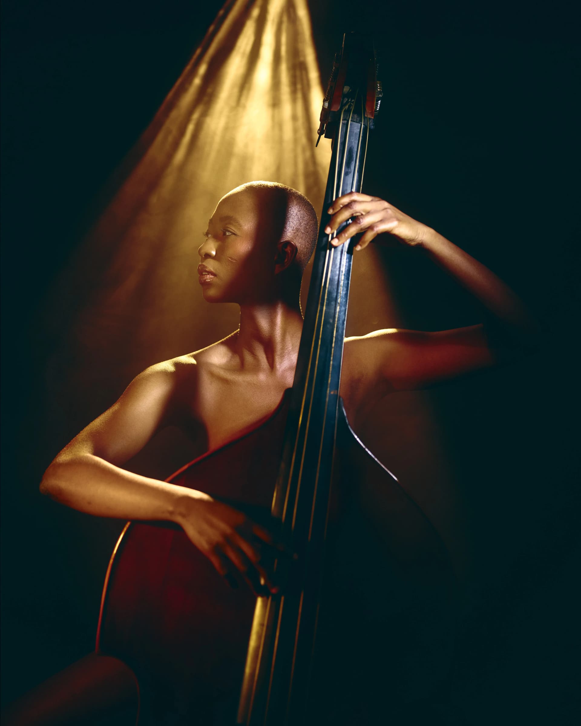 Instrument & Flesh — 03